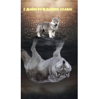   , !