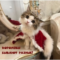   !