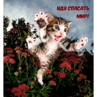   !