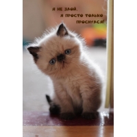   ,    !