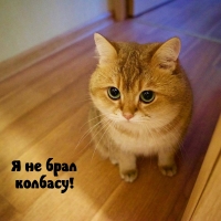    !