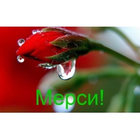 Мерси!