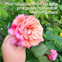      ,  !