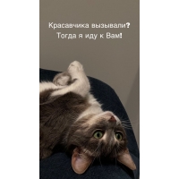  ?     !