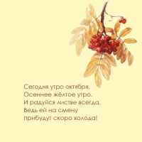   ,   .
