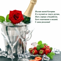 Желаю милой Катерине я в скучной не тонуть рутине