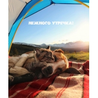 Нежного утречка!