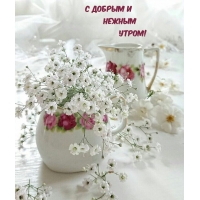 С добрым и Нежным Утром!