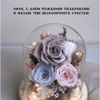 Лиля, с днём рождения поздравляю и желаю бесконечного счастья!