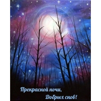 Прекрасной ночи, Добрых снов!