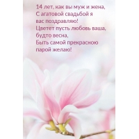 14 лет, как вы муж и жена, с агатовой свадьбой я вас поздравляю!