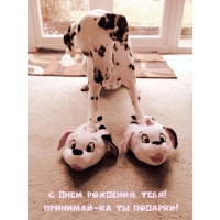 С днем рождения, тебя! Принимай-ка ты подарки!