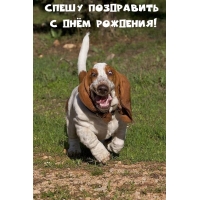     !