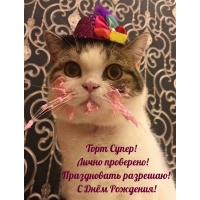 !  !  !