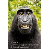  ,   ! )))   !