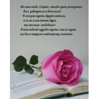 Желаю, София, чтобы день рождения был заводным и веселым! 