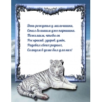 День рожденья у мальчишки, стал большим уже парнишка.