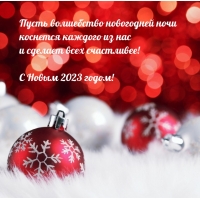 С Новым 2023 годом! Пусть волшебство новогодней ночи коснется каждого