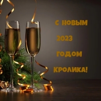   2023  !