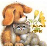 Доброе утро от песика и котика!
