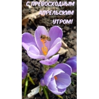    !