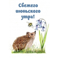 Свежего июньского утра!