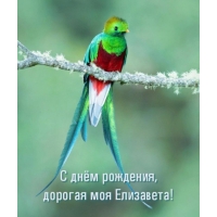   ,   !