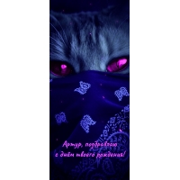 ,     !