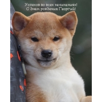    !    !
