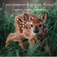 С днем рождения поздравляю Милана! Счастья, мира, доброты.