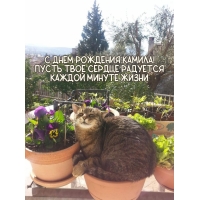    !      