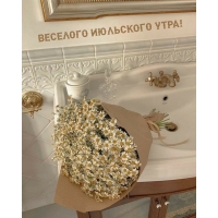   !
