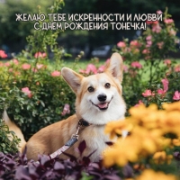          !