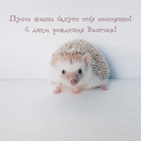     !    !