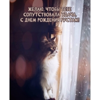 ,    .    !
