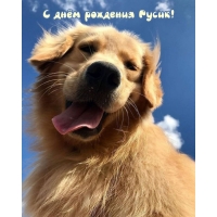    !