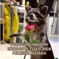           !