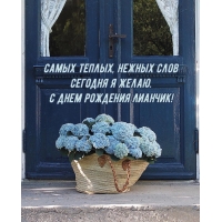 Теплых, нежных слов сегодня я желаю. С днем рождения Лианчик!