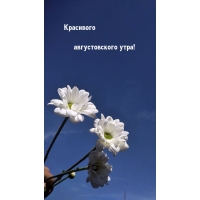   !