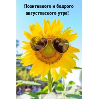    !
