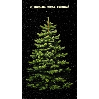   2024 !