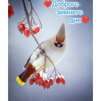 ������� ������� ���!