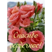 ������� ���������!