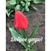  !