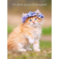 От всей души благодарю!