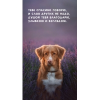 ���� ������� ������, � ���� ������ �� ����, ����� ���� ���������