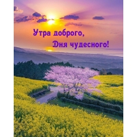  ,  !