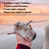   ! , - 