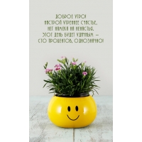 Доброе утро! Настрой утреннее счастье, нет намека на ненастья.