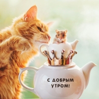 � ������ �����!